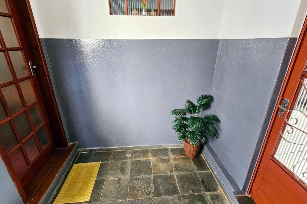 Вілла Casa Dos Coelhos, 750M Do Centro, Ate 12 Pessoas Тірадентіс Екстер'єр фото
